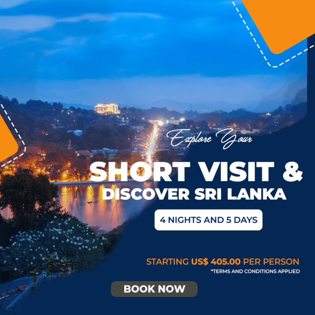 Packages in Delux Holidays, tour operators to Sri Lanka to explore Sri Lanka in your holidays to Sri Lanka.