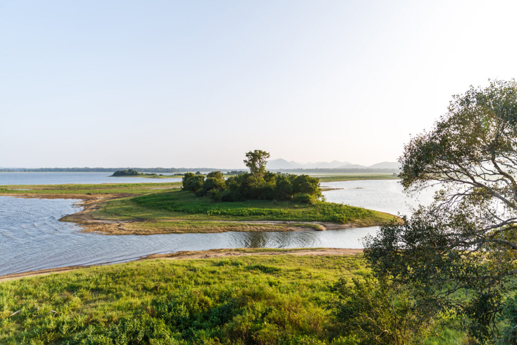 Explore Sri Lanka's natural wonders at Gal Oya National Park. Delux Holidays, your tour operator to Sri Lanka to authentic Sri Lankan experiences, takes you on unforgettable safaris boat rides, and nature walks. A peaceful scene with a lake, and green grass. There’s a small island with trees in the middle of the water. In the background, you can see mountains and a clear sky with some clouds.