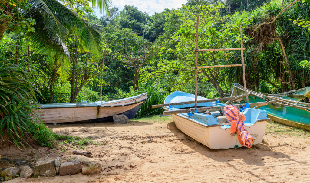 Colorful fishing boats rest on the golden sand of Jungle Beach, framed by greenery.